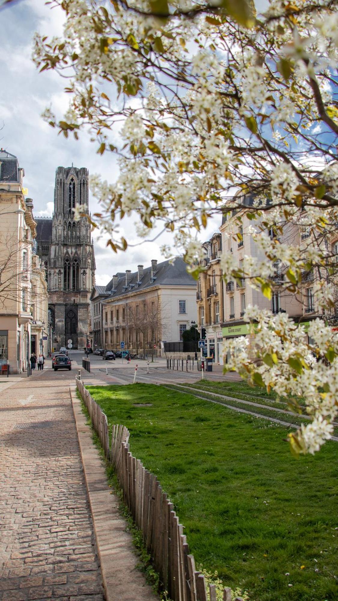 Rare! Magnifique Appartement - Vue Cathedrale Reims Kültér fotó